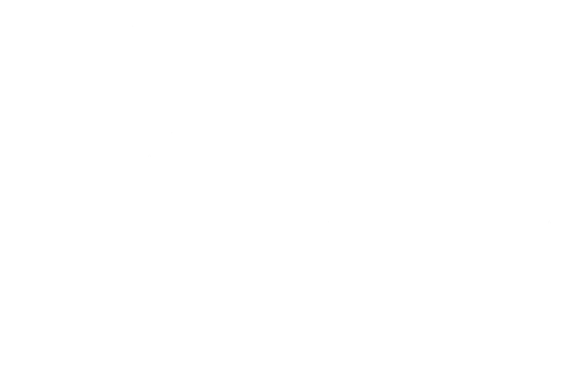STARRY logo